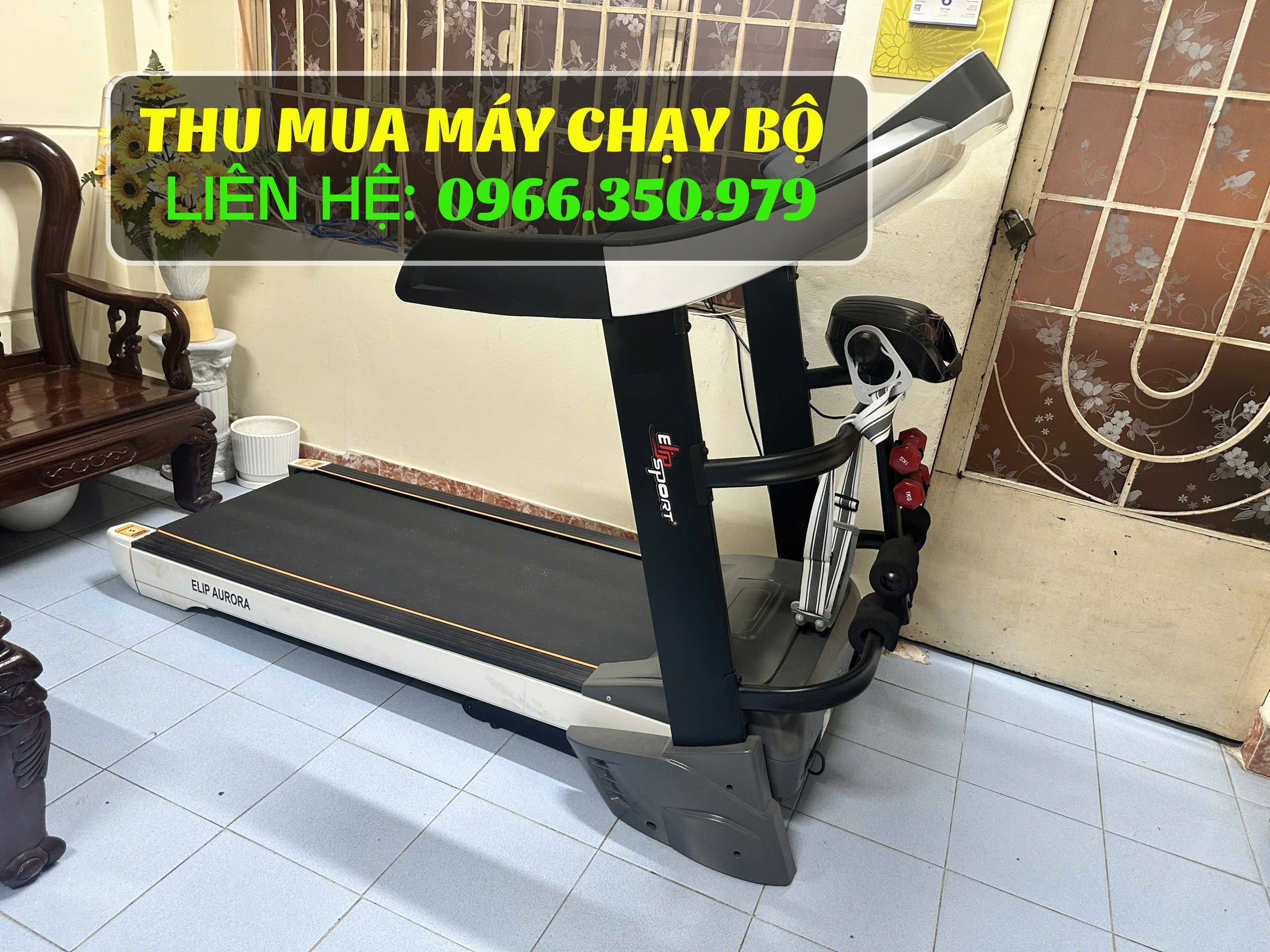 Thu mua máy chạy bộ Elip Aurora giá cao tại HCM